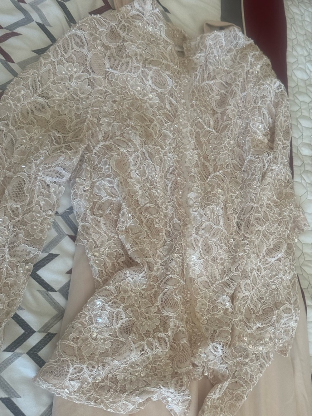 Elegant Blush Lace Evening Dress - Picture 1 of 6